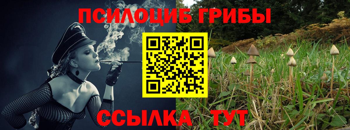 Волгоград  Галлюциногенные грибы Cubensis  Вход с VPN 
